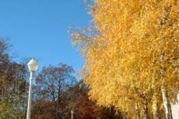 Via Giulio Pastore - Paesaggio Autunnale
